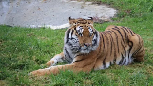 Le Refuge de l’Arche accueille Kaïro